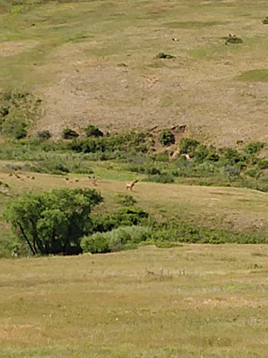 Nature Preserve «Rocky Flats National Wildlife Refuge», reviews and photos, 10808 Colorado 93, Golden, CO 80403, USA