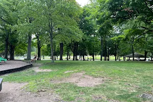 North Olmsted Community Park image