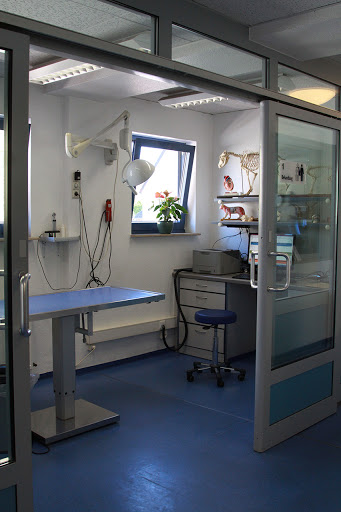 Dr.med.vet. Heike Lindenstruth vet unter Werl, 