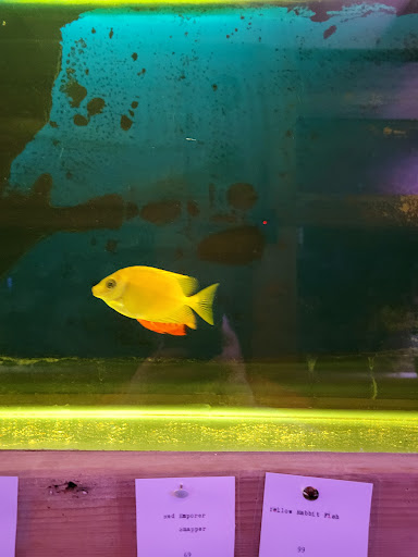 Tropical Fish Store «Ocean Aquarium», reviews and photos, 6820 E Black Horse Pike, Egg Harbor Township, NJ 08234, USA