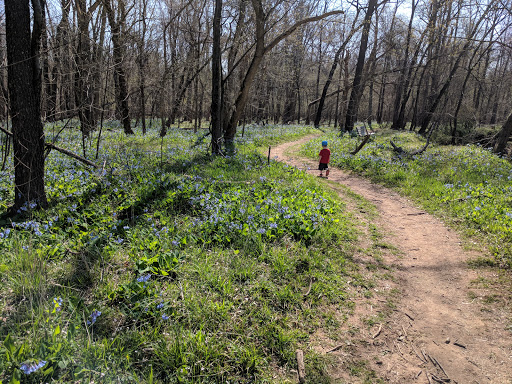 Amusement Park «SplashDown Waterpark», reviews and photos, 7500 Ben Lomond Park Rd, Manassas, VA 20109, USA