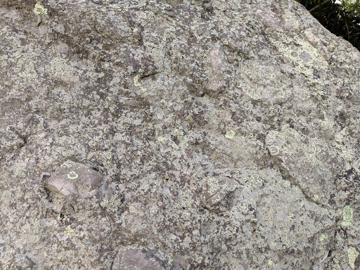 Golf Course «William J. Devine Golf Course at Franklin Park», reviews and photos, 1 Circuit Dr, Dorchester, MA 02121, USA