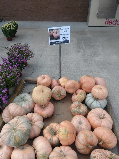 Grocery Store «Harps Food Store», reviews and photos, 2005 Harrisburg Rd, Jonesboro, AR 72401, USA