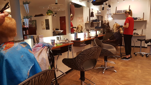 Frisørgalleriet Gram in Gram, Vejen
