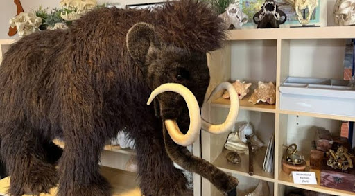 Museum «HistoryMiami Museum», reviews and photos, 101 W Flagler St, Miami, FL 33130, USA