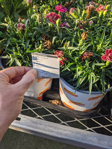 Home Improvement Store «The Home Depot», reviews and photos, 3330 Center Rd, Brunswick, OH 44212, USA