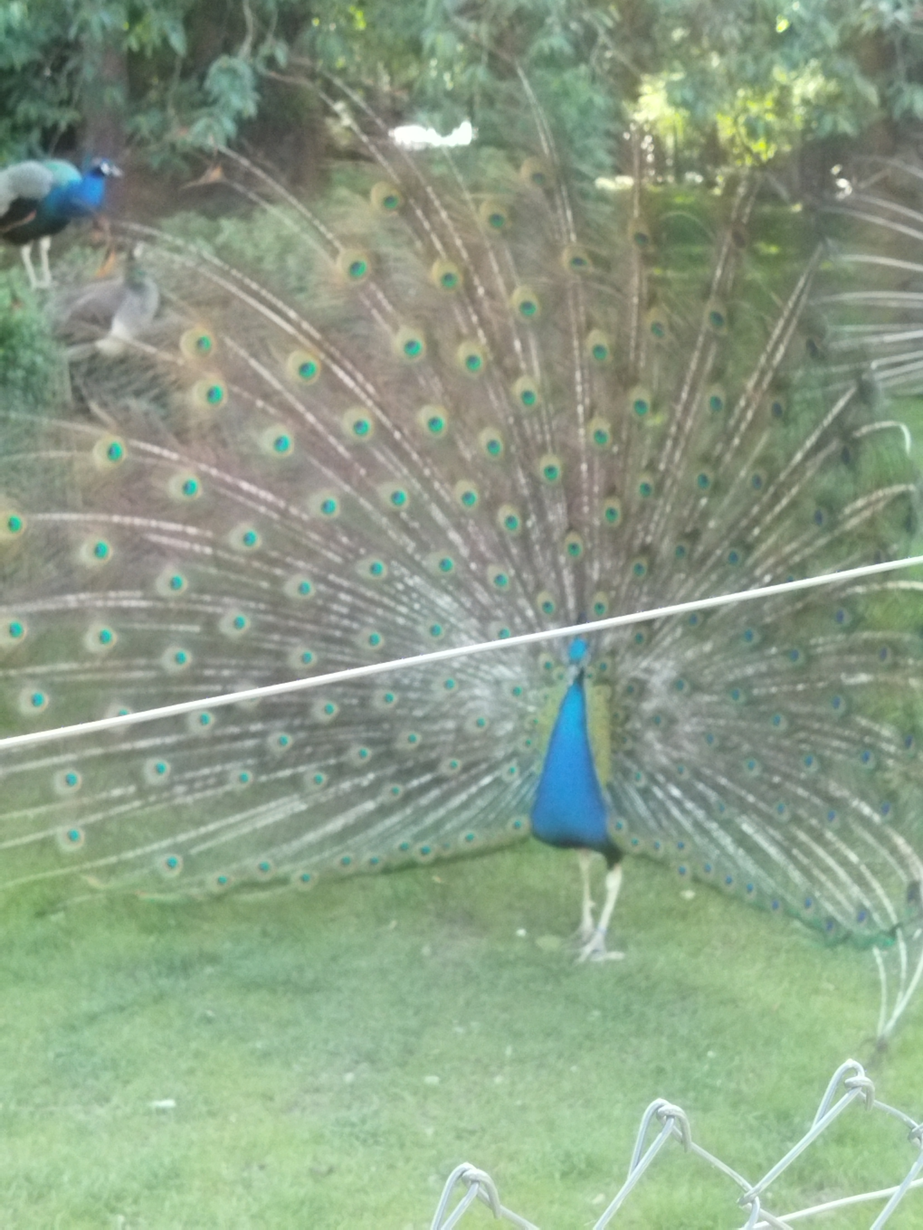 Photo n° 4 de l'avis de Laurent. fait le 27/05/2022 à 16:38