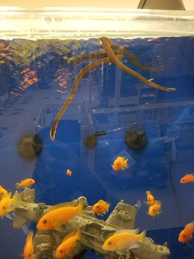 Pet Supply Store «Pet Supplies Plus», reviews and photos, 5092 Mayfield Rd, Lyndhurst, OH 44124, USA