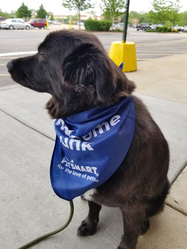 Pet Supply Store «PetSmart», reviews and photos, 4465 US-14, Crystal Lake, IL 60014, USA