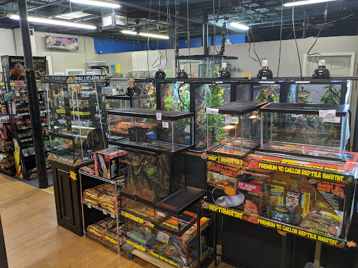 Pet Store «Fins and Skins», reviews and photos, 8451 49th St N, Pinellas Park, FL 33781, USA