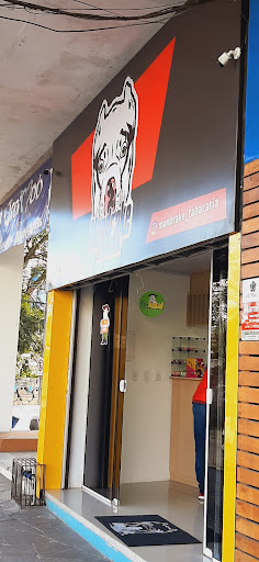 Logo da empresa - Mandrake Tabacaria