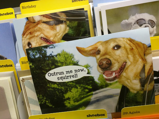 Drug Store «CVS», reviews and photos, 890 St George Ave, Rahway, NJ 07065, USA