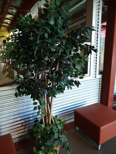 Recreation Center «Tumbleweed Recreation Center», reviews and photos, 745 E Germann Rd, Chandler, AZ 85286, USA