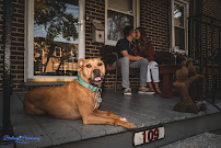 Brittany Harmening Photography - Photo 9 - Car repair in , Trenton