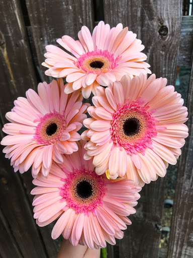 Florist «Classic Florist & Home Decor LLC», reviews and photos, 913 Hillcrest Pkwy, Dublin, GA 31021, USA