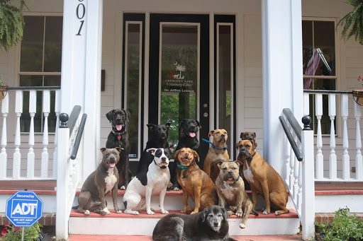 Crescent Care Veterinary Clinic of the lowcountry image