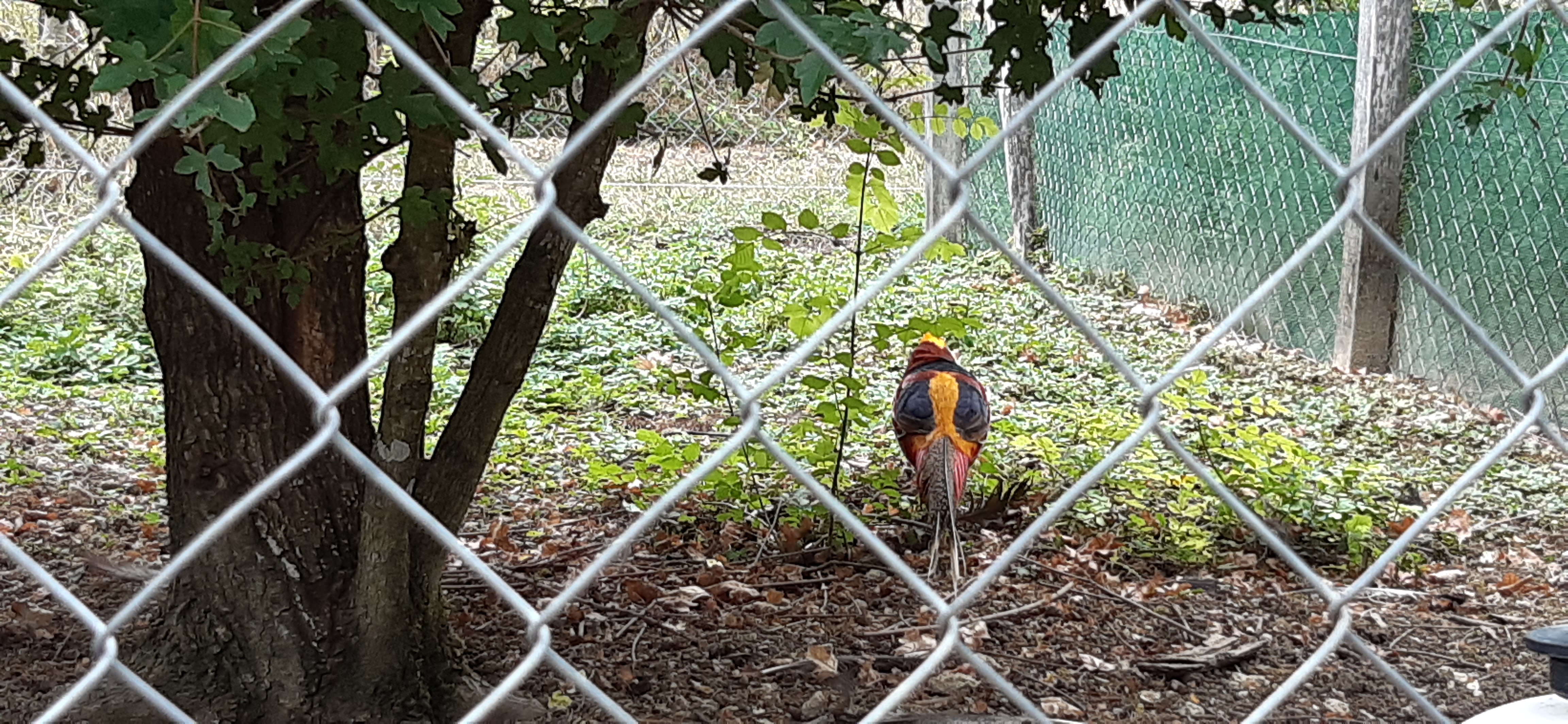 Photo n° 10 de l'avis de Dimitri.u fait le 13/08/2020 à 19:45
