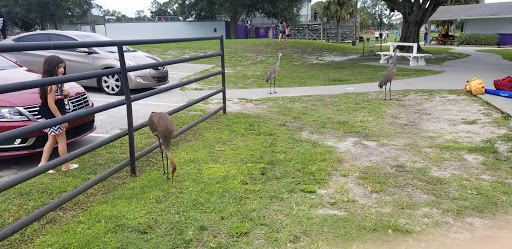 Soccer Club «Seminole Soccer Complex», reviews and photos, 7390 Lake Markham Rd, Sanford, FL 32771, USA