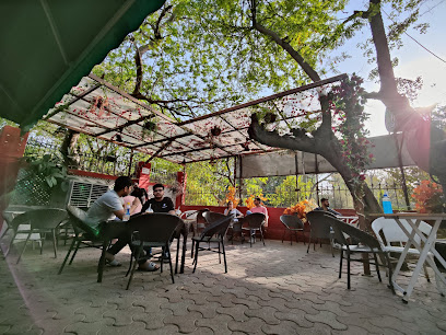 Too Mikkii Tapas Cafe - Alexander M Kadakin Marg, Akhaura Block, Bapu dham, Chanakyapuri, New Delhi, Delhi 110021, India