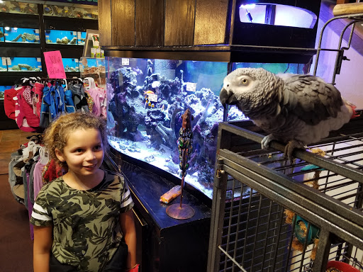 Pet Store «Pets Plus Inc», reviews and photos, 2610 Jefferson Davis Hwy, Stafford, VA 22554, USA