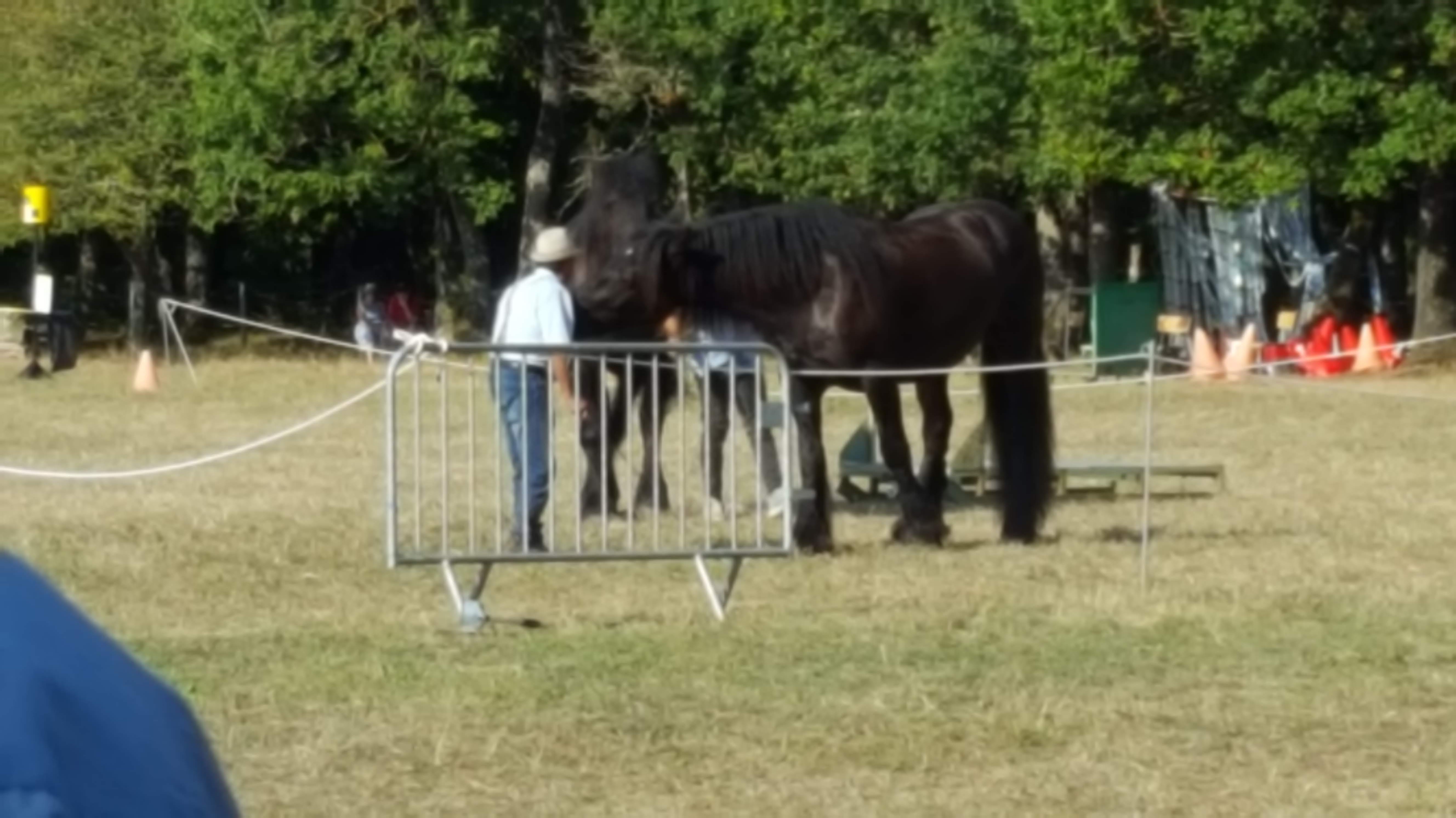 Photo n° 4 de l'avis de Prudence.r fait le 30/08/2019 à 10:33