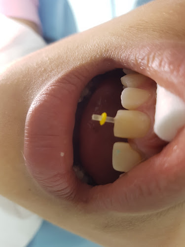 Clinica Dental Odontorama - San Miguel