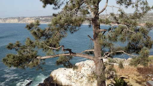 Tourist Attraction «San Diego-La Jolla Underwater Park», reviews and photos, 8302 Camino Del Oro, La Jolla, CA 92037, USA