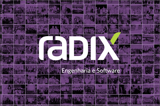 Radix Engineering and Software Development