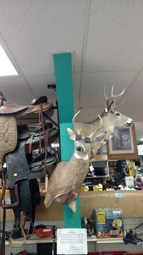 Pawn Shop «Mr Pawn», reviews and photos, 1910 Lake St S, Forest Lake, MN 55025, USA