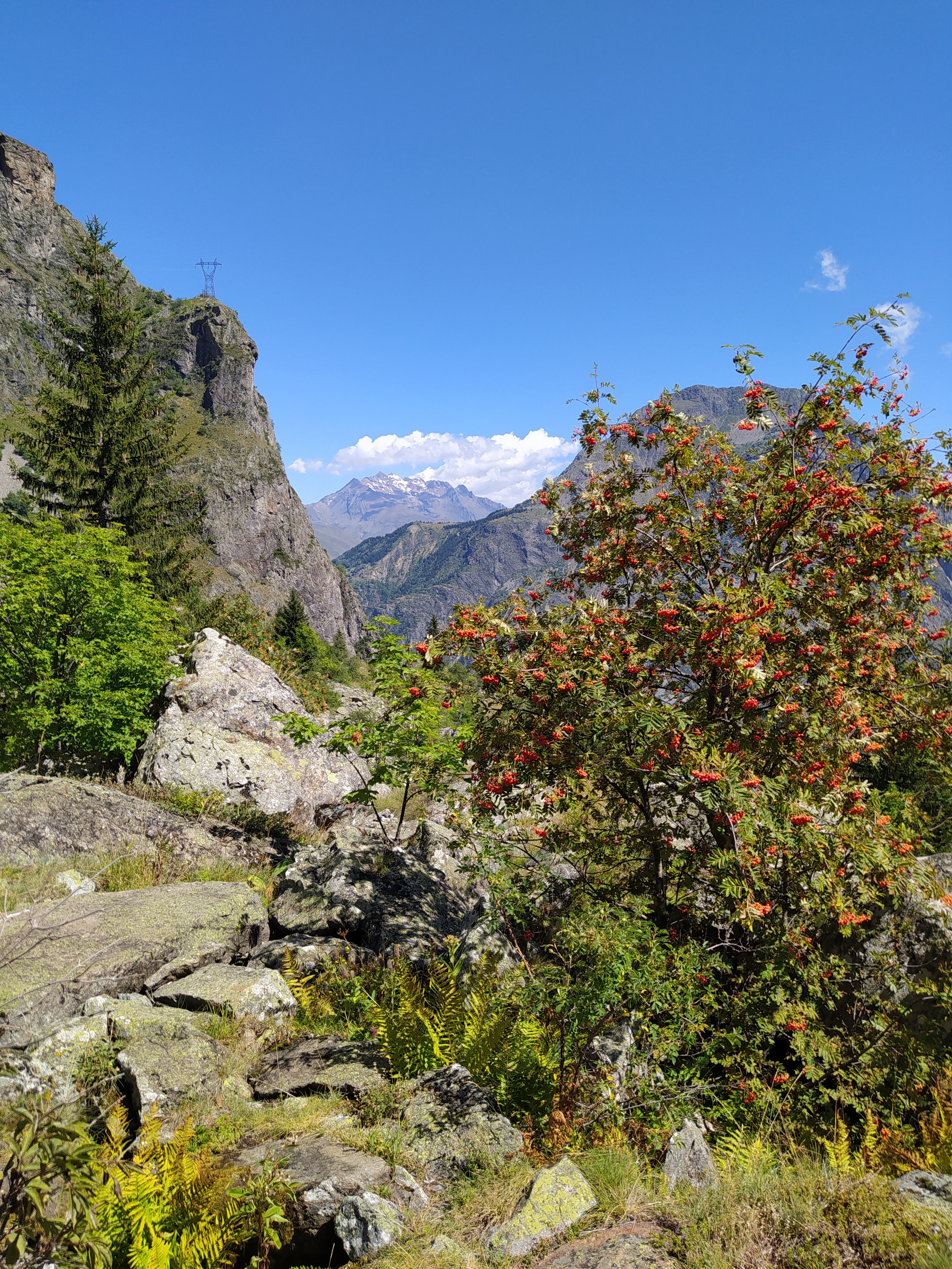 Photo n° 3 de l'avis de Frederic.a fait le 14/08/2020 à 16:56