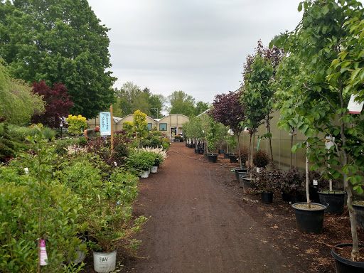 Greenhouse «Wentworth Greenhouses», reviews and photos, 141 Rollins Rd, Rollinsford, NH 03869, USA