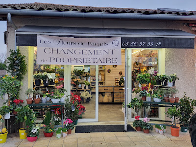Les Fleurs de Pacaris à Talence