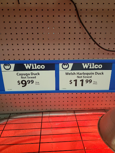 Animal Feed Store «Wilco Farm Store», reviews and photos, 19224 S Molalla Ave, Oregon City, OR 97045, USA