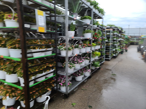 Home Improvement Store «Menards», reviews and photos, 3215 W North Ave, Melrose Park, IL 60160, USA