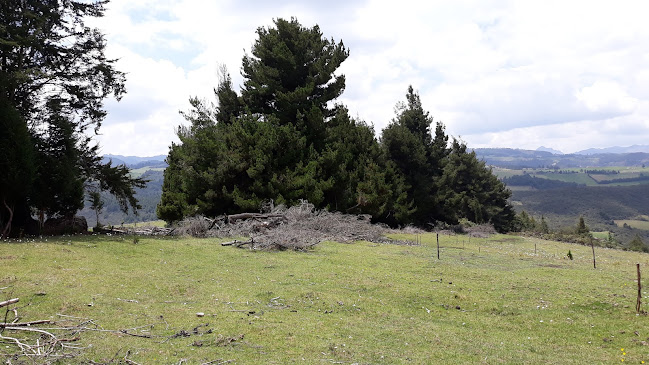 Comentarios y opiniones de Hacienda Estancia "San Isidro"