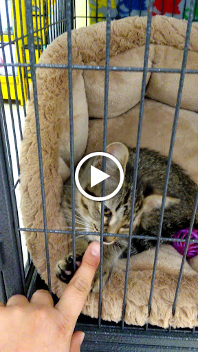 Pet Supply Store «Pet Supplies Plus», reviews and photos, 5708 State St, Saginaw, MI 48603, USA