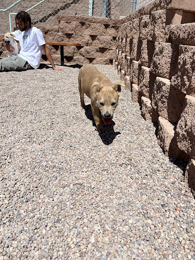 Rio Rancho Animal Control