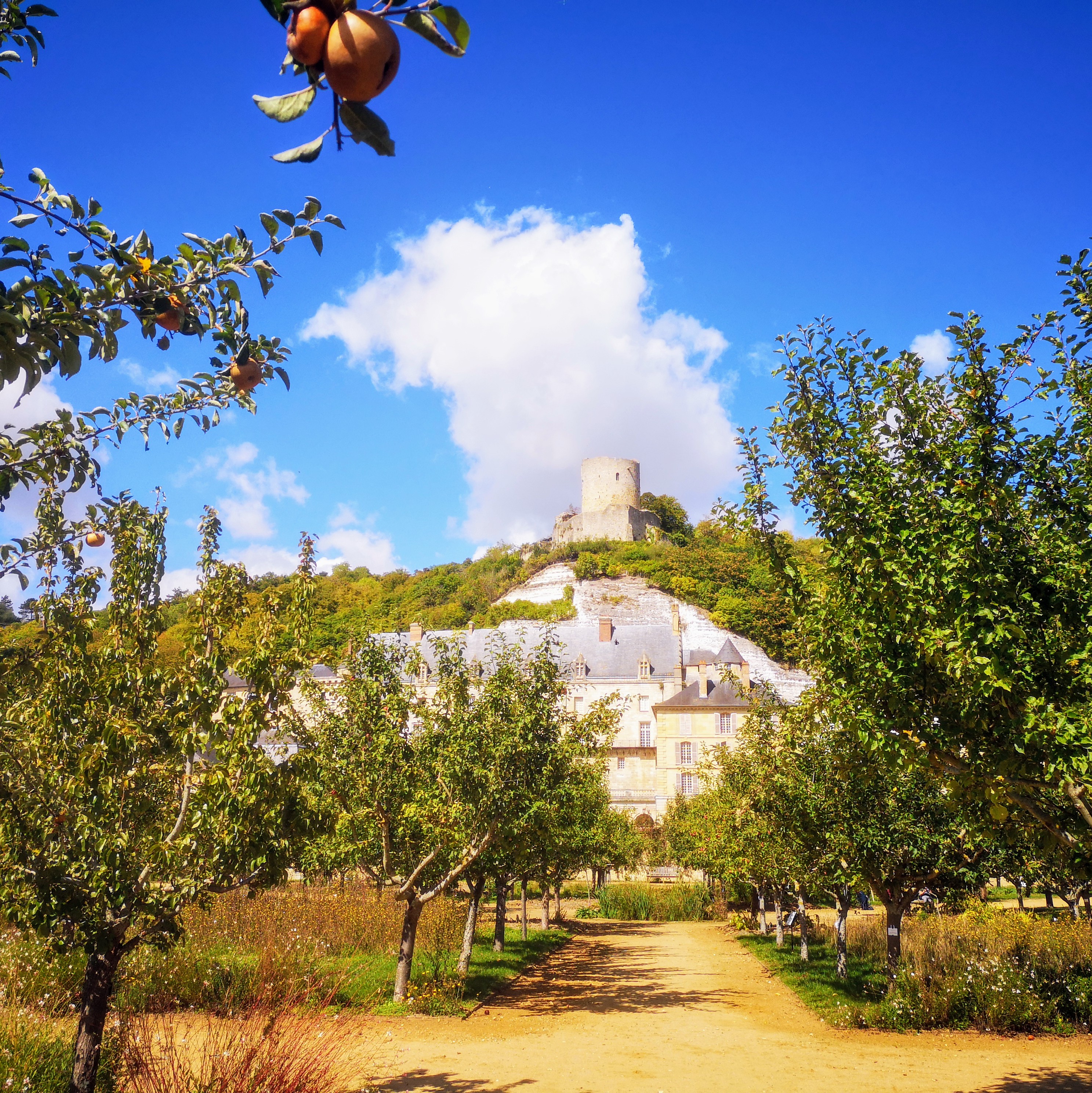 Photo n° 1 de l'avis de Adrien.i fait le 29/09/2020 à 19:08