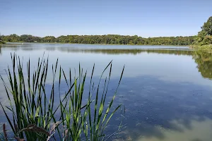 Busse Lake image