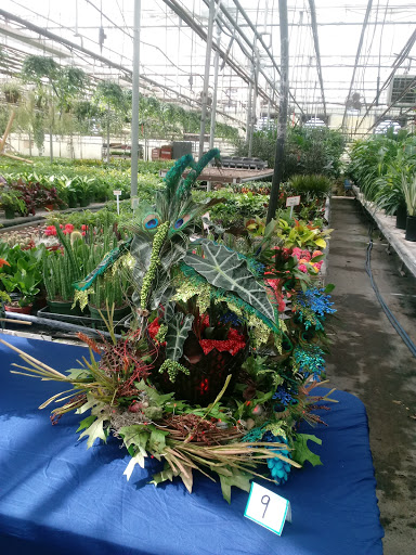 Florist «Dillon Floral Corporation», reviews and photos, 933 Columbia Blvd, Bloomsburg, PA 17815, USA