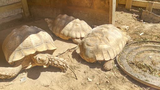 Pet Store «Fish-N-Pets Unlimited», reviews and photos, 11710 Bissonnet St, Houston, TX 77099, USA