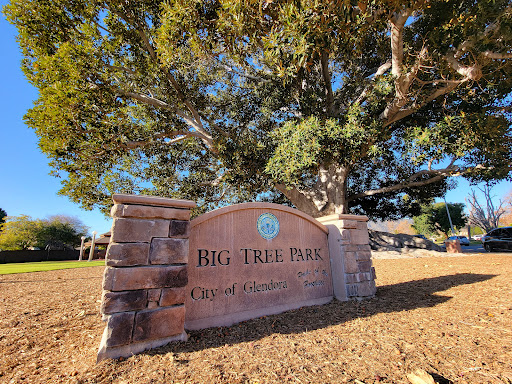 Big Tree Park And Historical Marker At Night