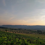 Photo n°2 de l'avis de Dirceu.o fait le 14/09/2018 à 12:49 sur le  Quinta da Terrincha à Adeganha