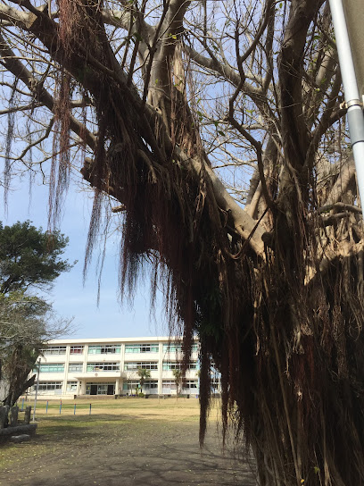 八丈町立大賀郷小学校