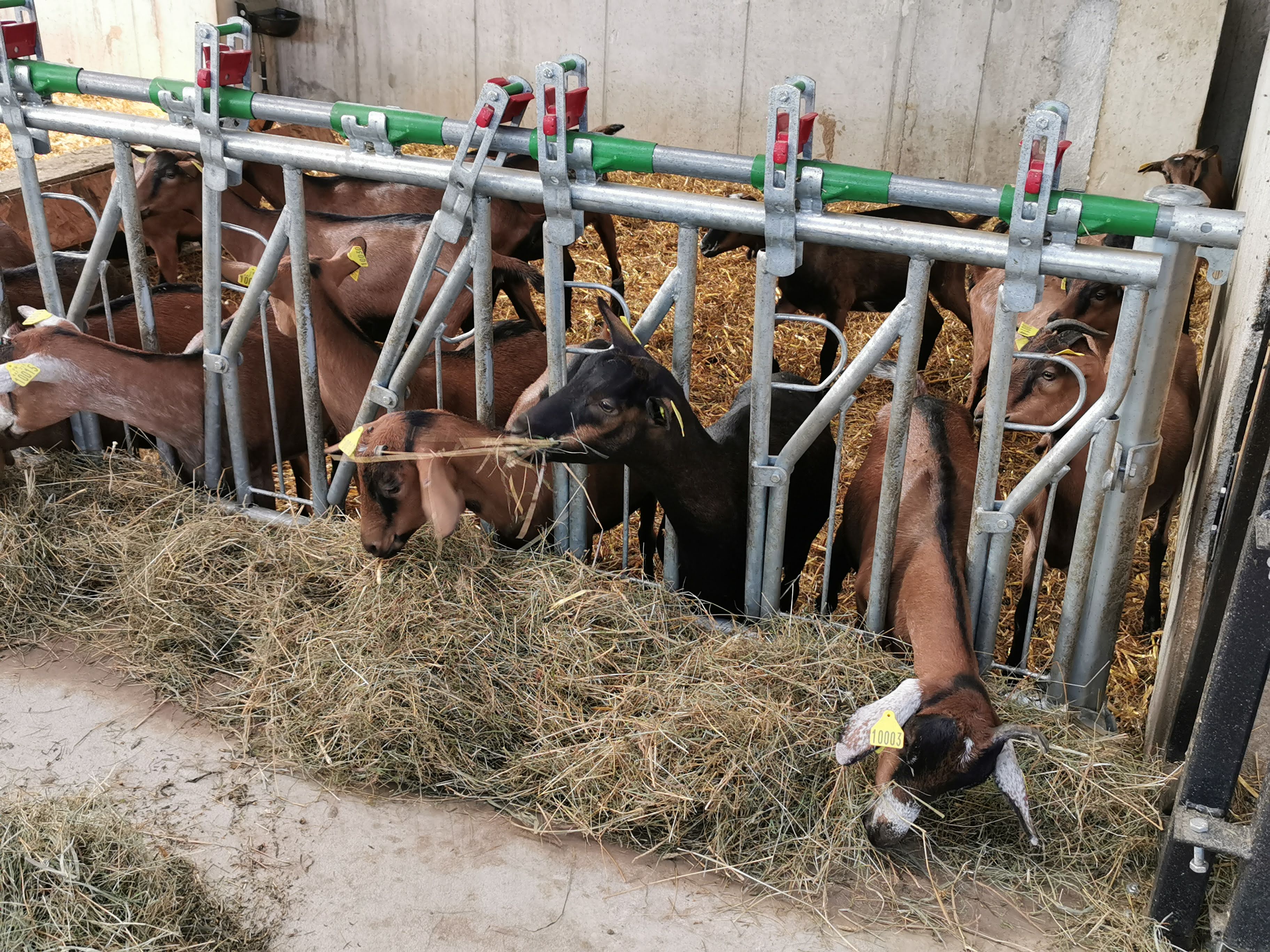 Photo n° 4 de l'avis de Emi.i fait le 25/08/2021 à 16:59