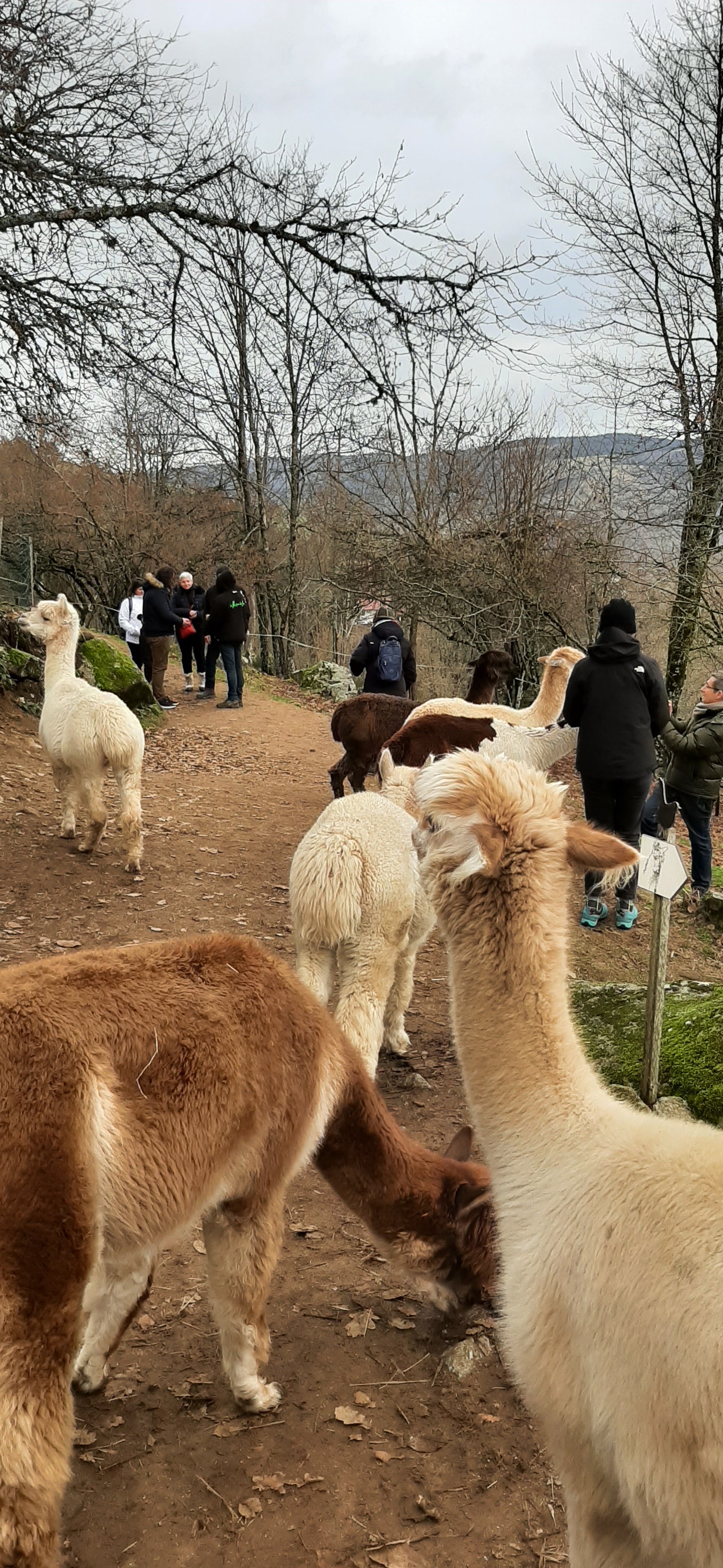 Photo n° 5 de l'avis de laurence.e fait le 30/12/2022 à 18:18
