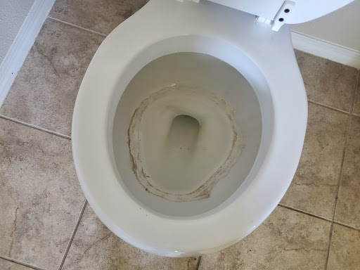 House Cleaning Service «MaidPro», reviews and photos, 1441 E Fletcher Ave #301, Tampa, FL 33612, USA