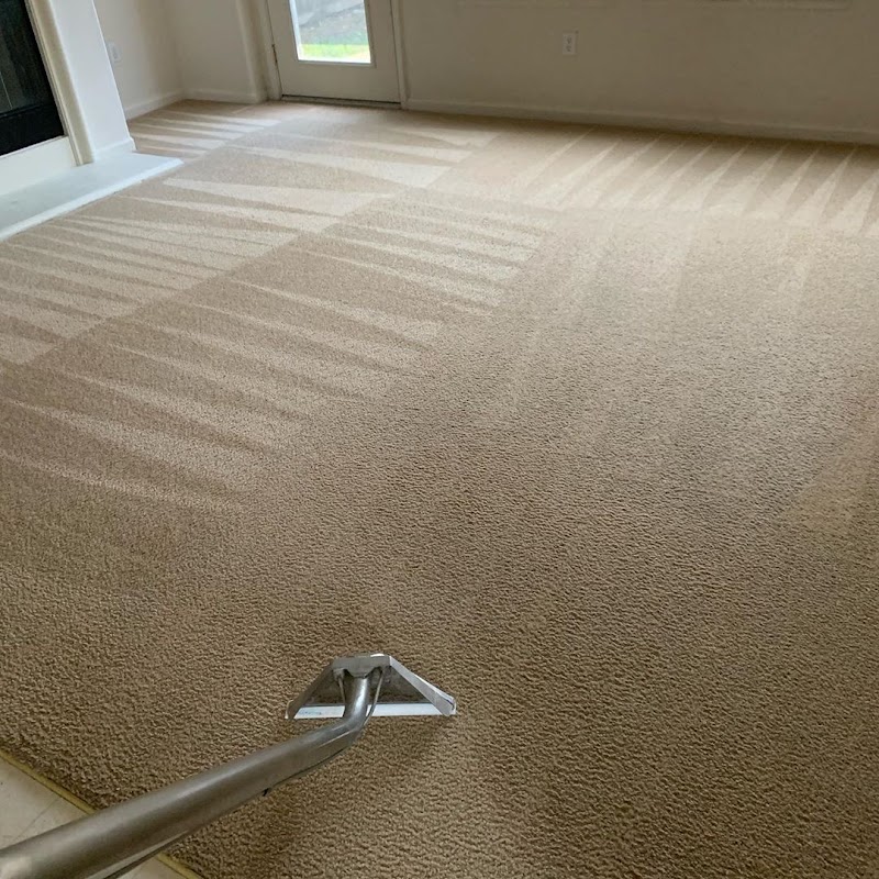 Carpet Cleaning Bristol