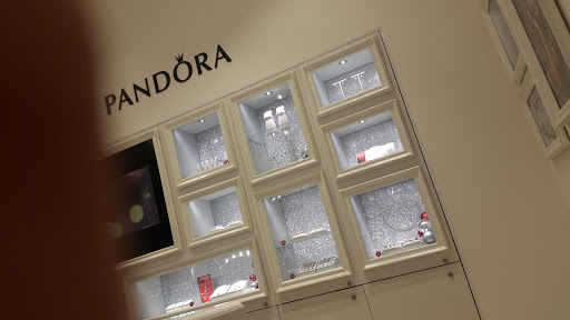 Pandora Center