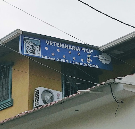 Veterinaria "ITA" - Veterinario